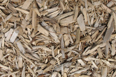 biomass boilers Ruston Parva