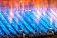 Ruston Parva gas fired boilers